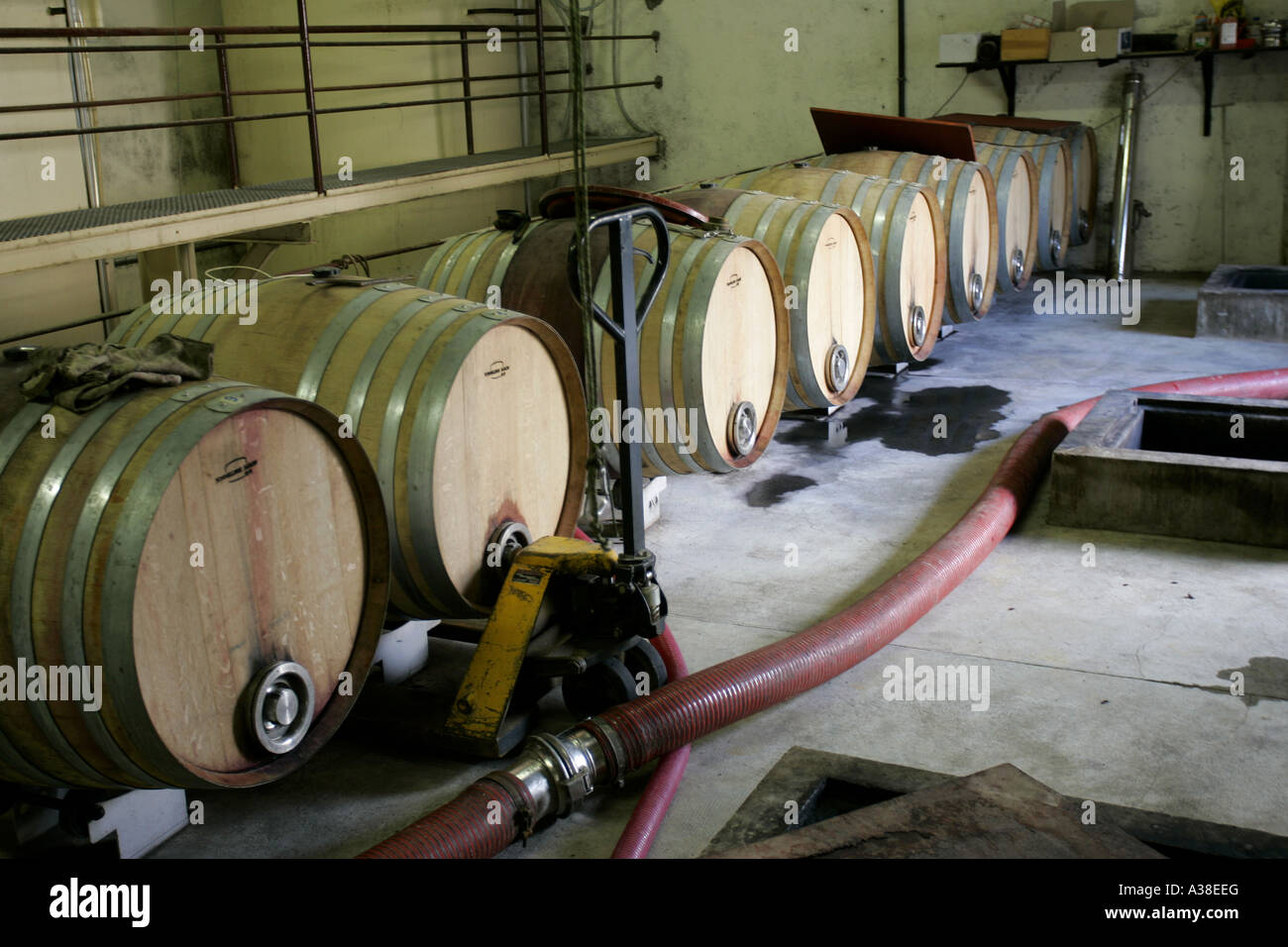 CAVES,LANGUEDOC,FRANCE WINE CELLAR Stock Photo Alamy