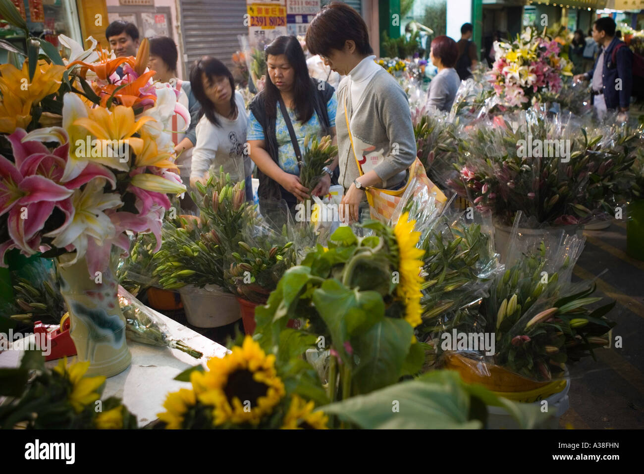 Shopping for flowers in Hong Kong's flower district Stock Photo Alamy