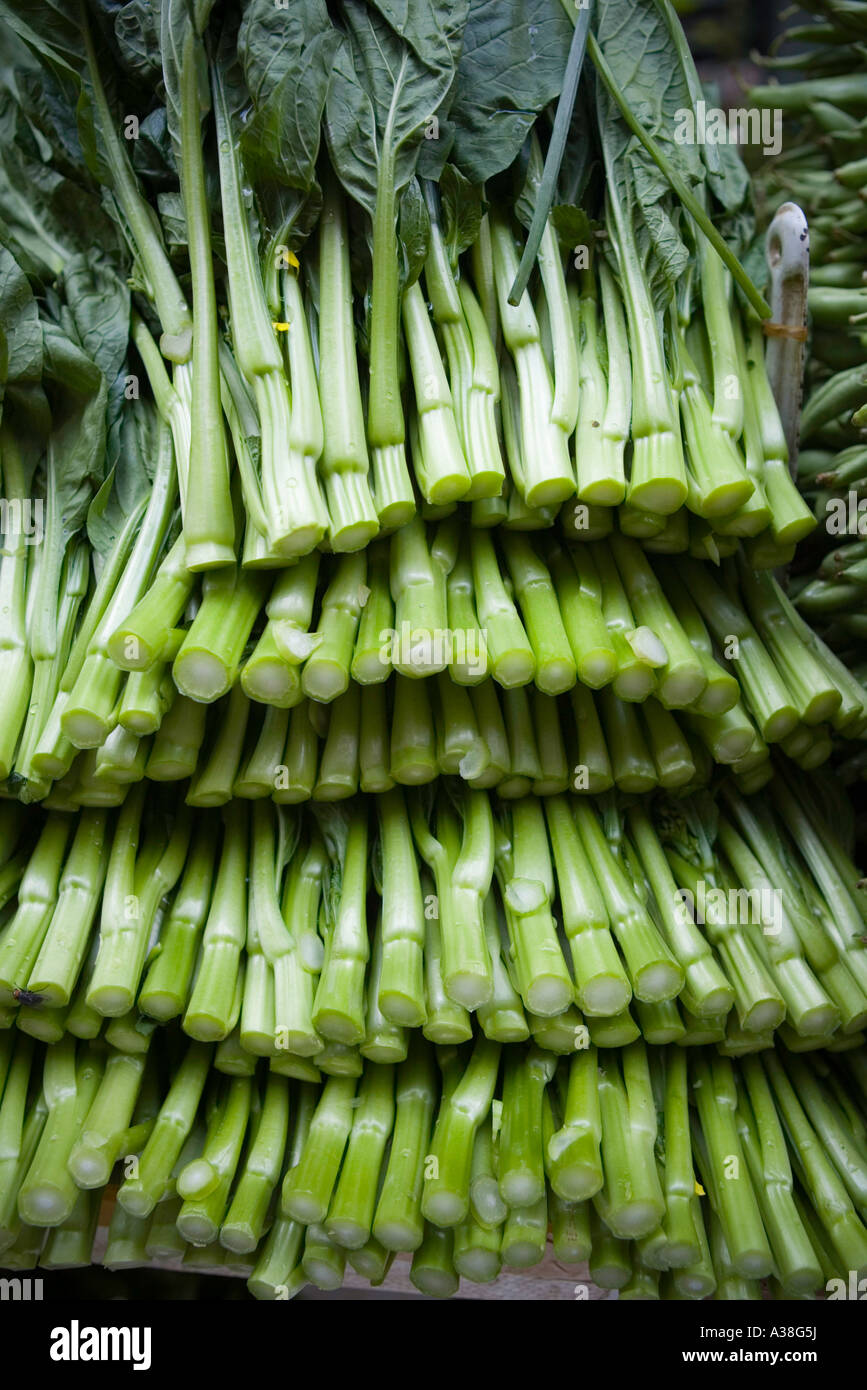 Choi sam vegetables at a stall in Causeway Bay, Hong Kong Stock Photo Alamy