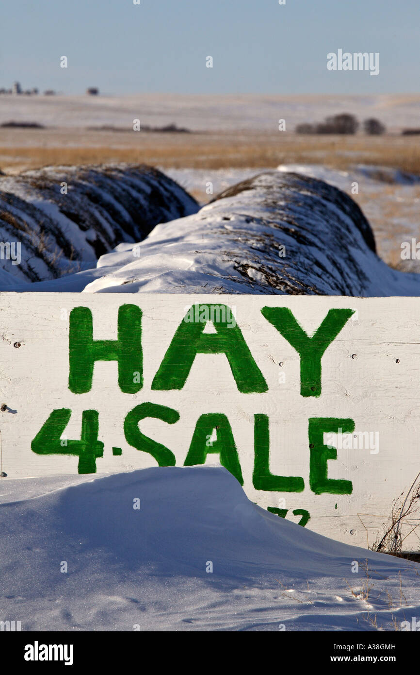 Hay for sale sign hires stock photography and images Alamy
