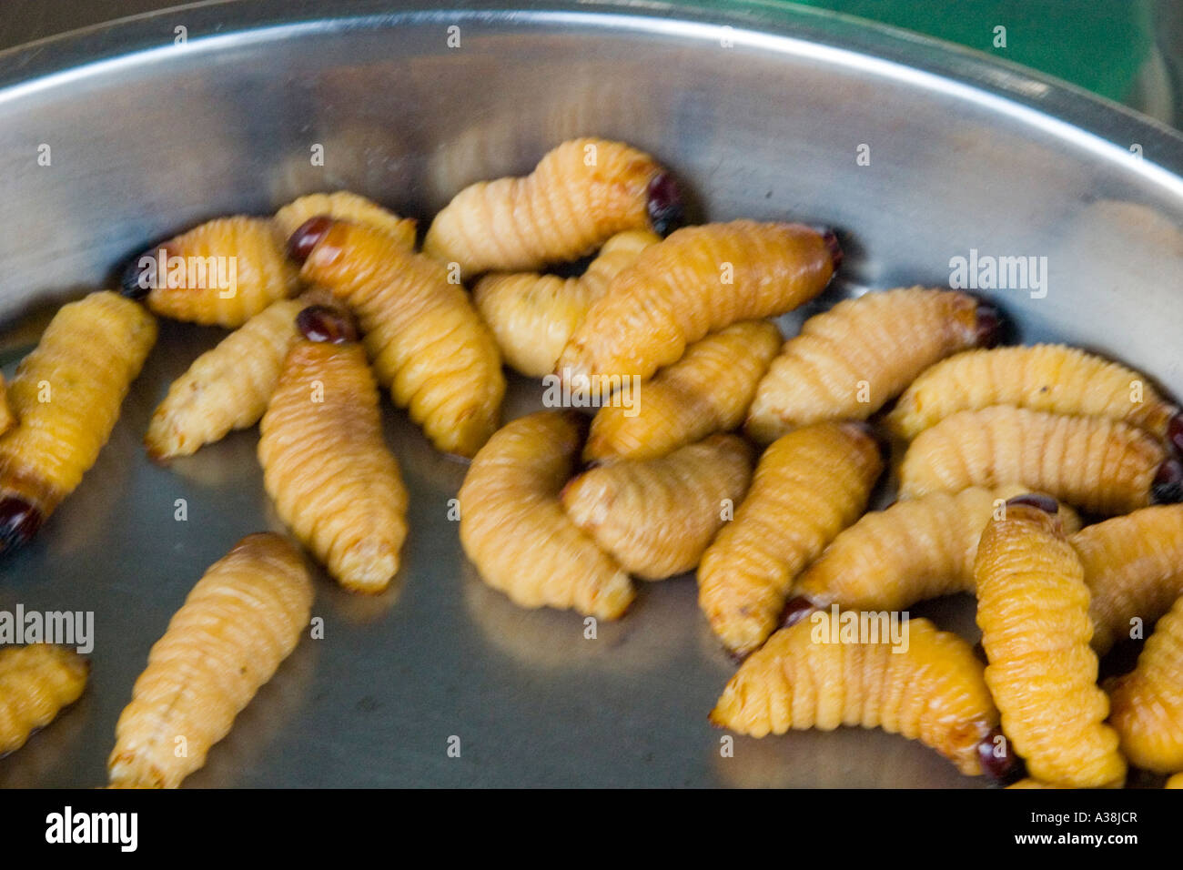 Edible grubs hi-res stock photography and images - Alamy