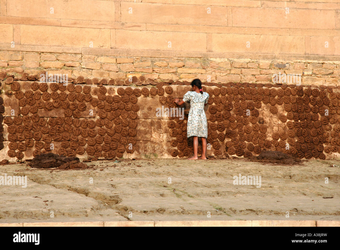 Indian girl collecting cow dung hi-res stock photography and images - Alamy
