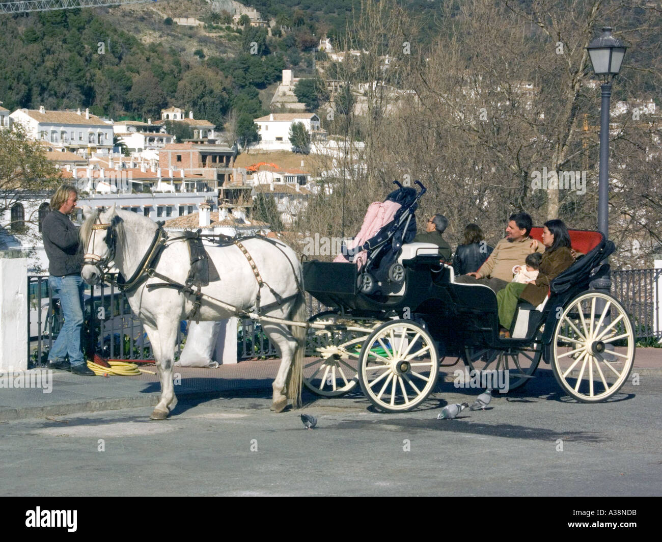 Horse drawn carriage, Mijas Pueblo, Andalucia, Spain, Europe, horse