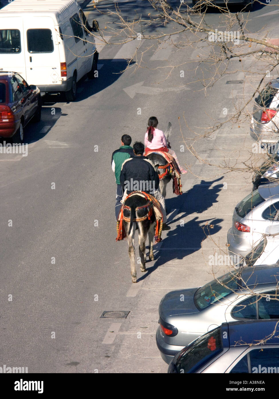 Donkey Taxi, Mijas Pueblo, Andalucia, Spain, Europe, Stock Photo
