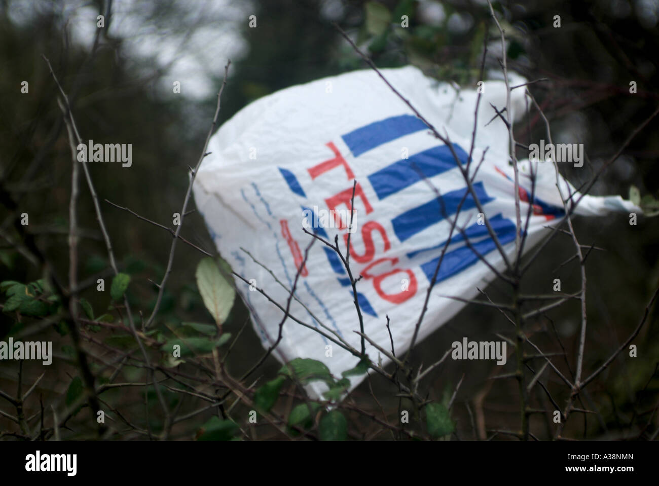 A discarded supermarket plastic bag caught around a branch waves in the