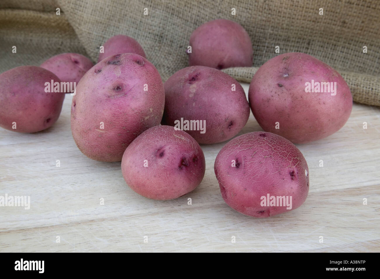 Freshly harvested Red potatoes on cutting board. Stock Photo