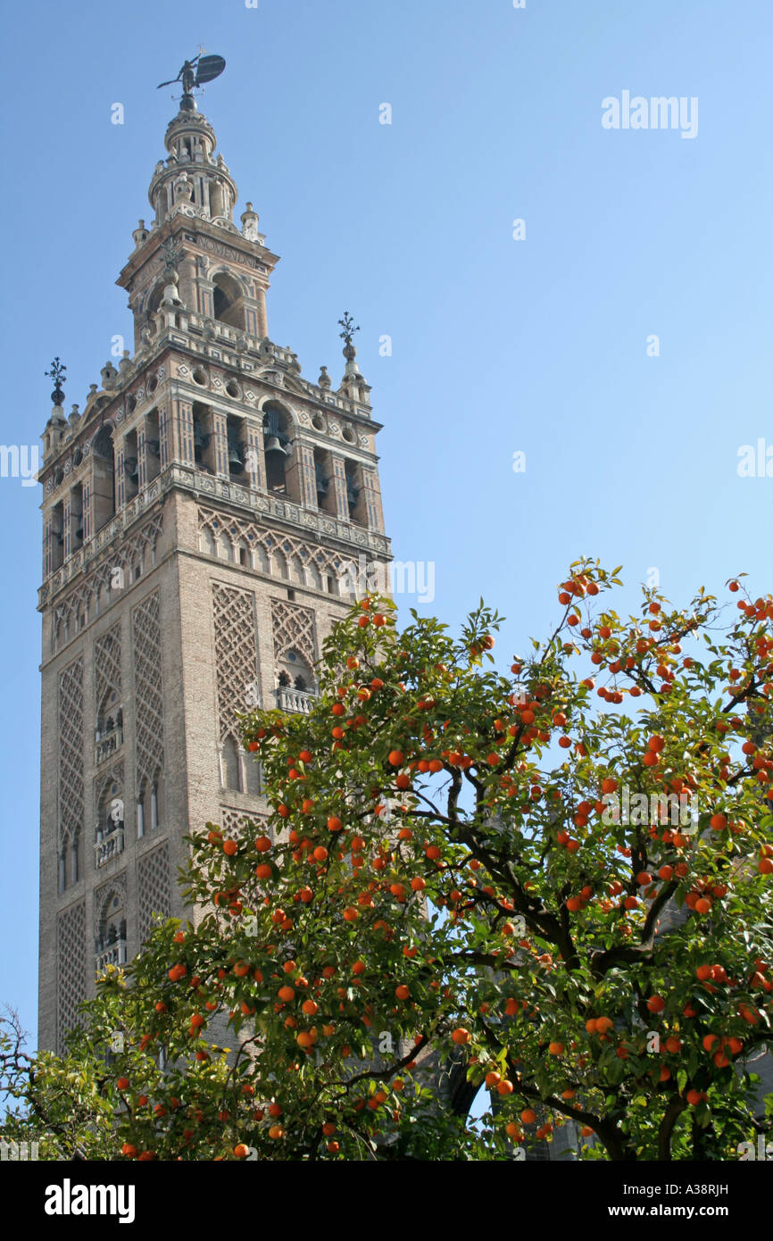 Cathedral Giralda Santa Maria of St Mary Seville Andalucia Spain Stock Photo