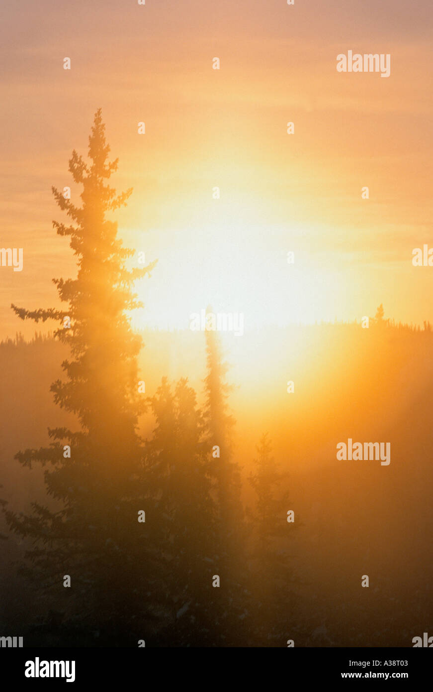Stunning sunrise through trees hi-res stock photography and images - Alamy