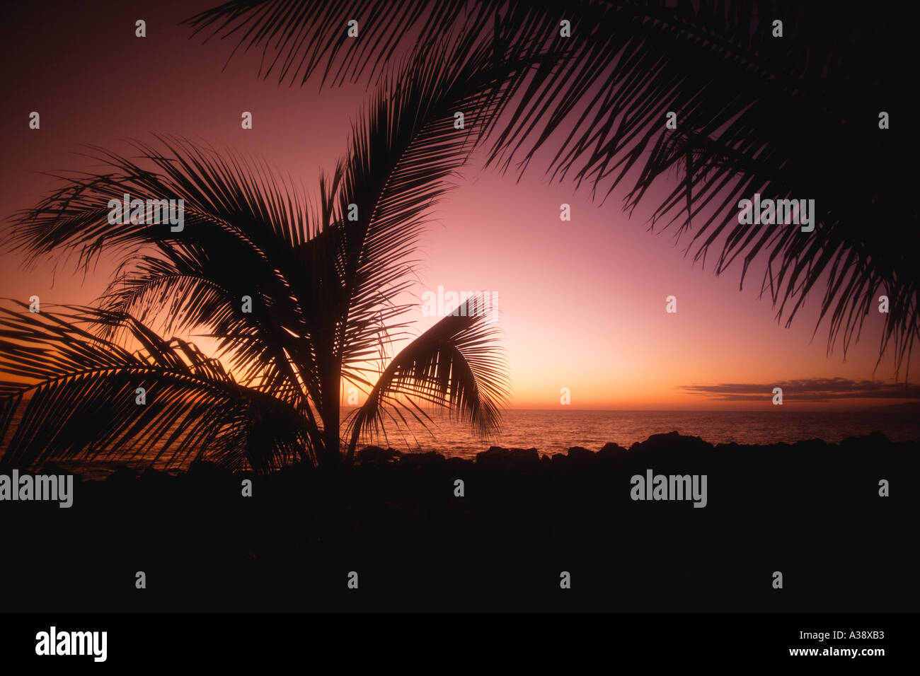 Romantic tropical sunset Stock Photo - Alamy