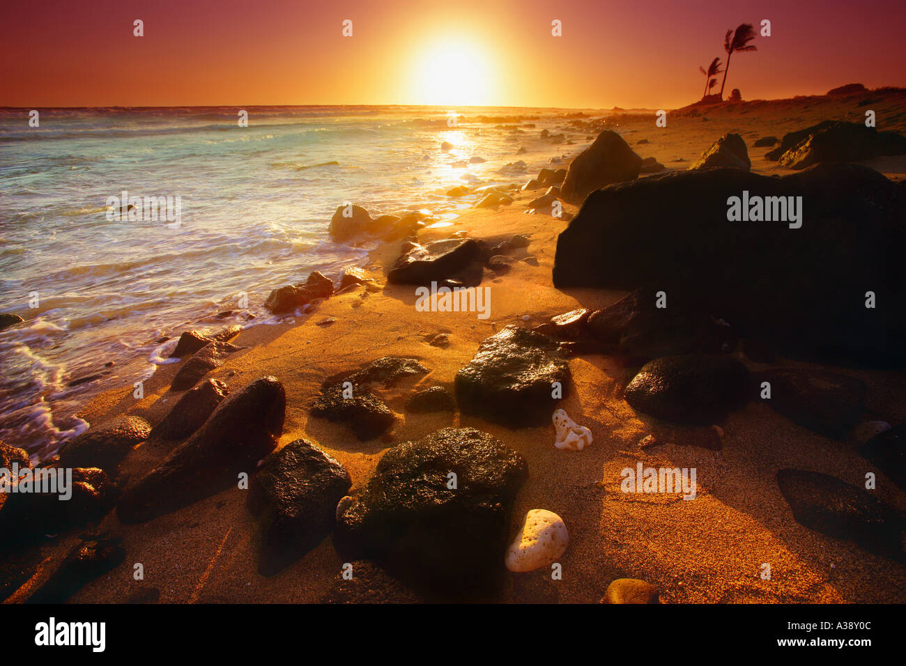 Rocky shoreline palm trees hi-res stock photography and images - Alamy