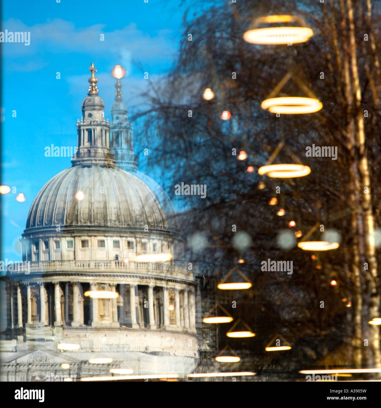 Reflection of St. Pauls halo lights birch tree in Tate Modern Art