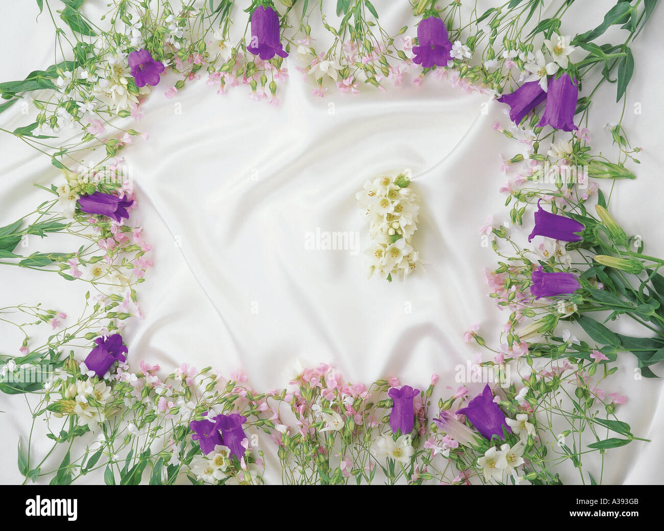 Image still life hi-res stock photography and images - Alamy