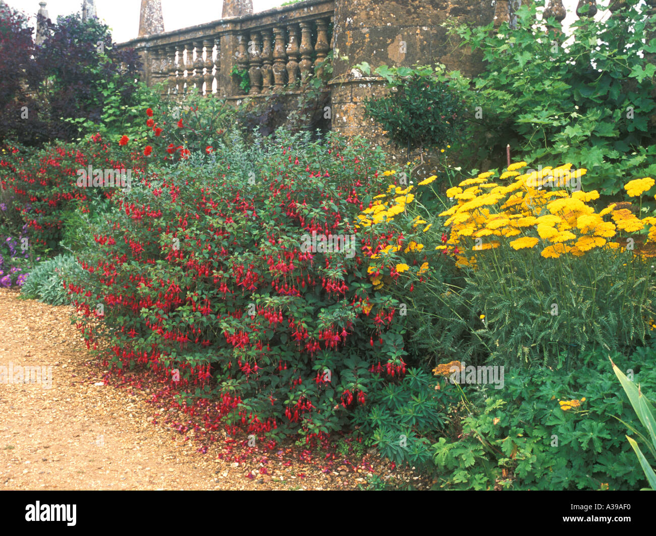 Border colour hi-res stock photography and images - Alamy
