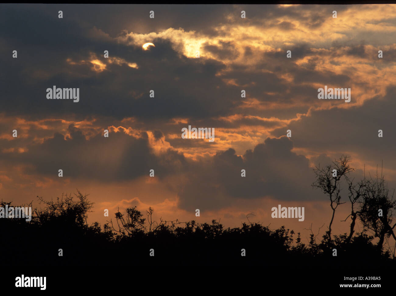 stratocumulus stratus  cumulus sunset sky cloud Stock Photo