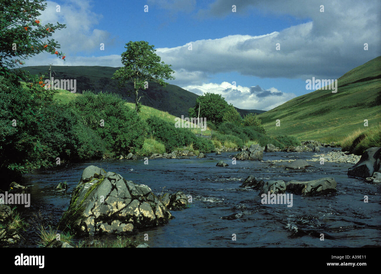 Ettrick valley hires stock photography and images Alamy
