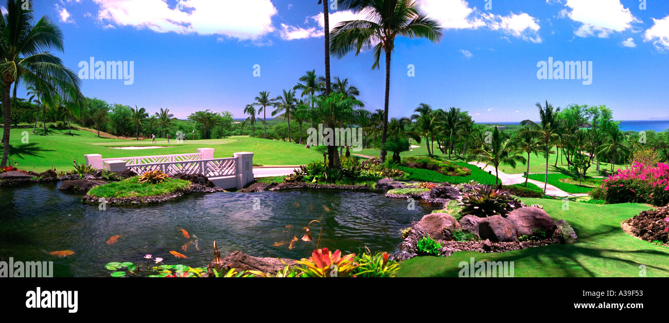 Wailea, Gold Course, Golf Course, Green Grass, Bridge, Pond, Water Stock  Photo - Alamy
