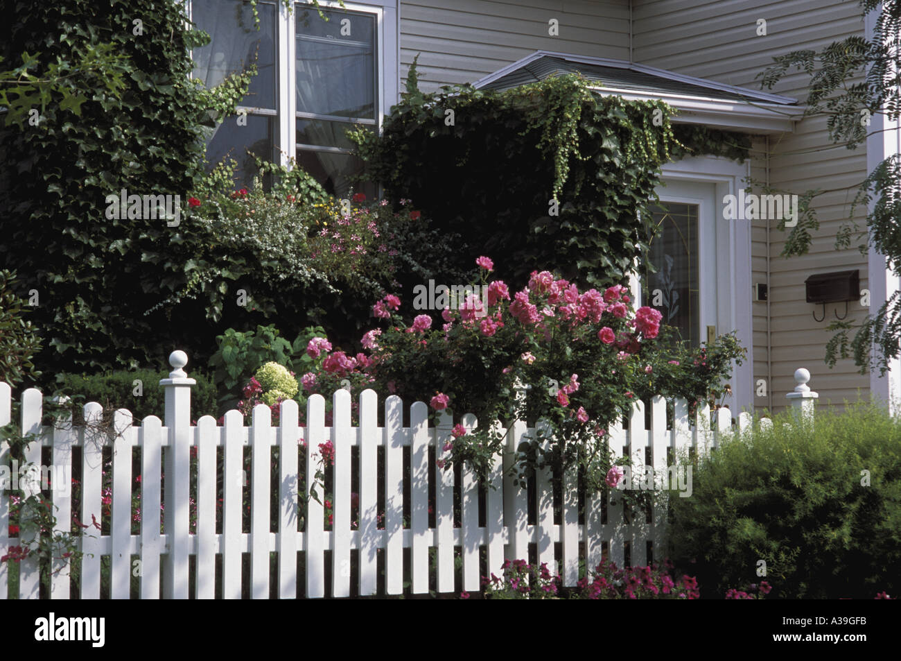 Flowers around house Stock Photo Alamy