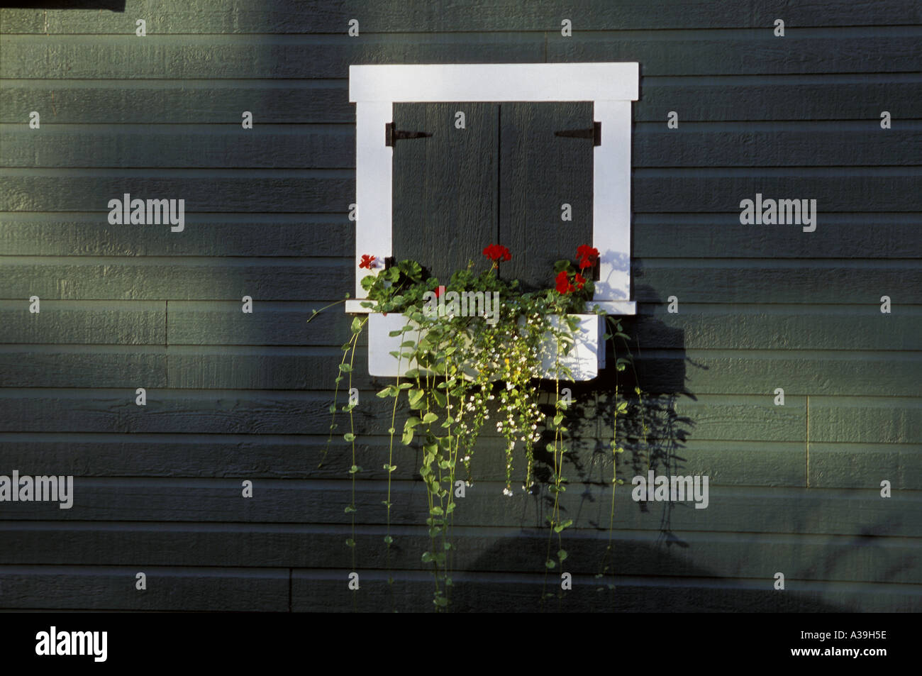 Shuttered window and window box Stock Photo - Alamy