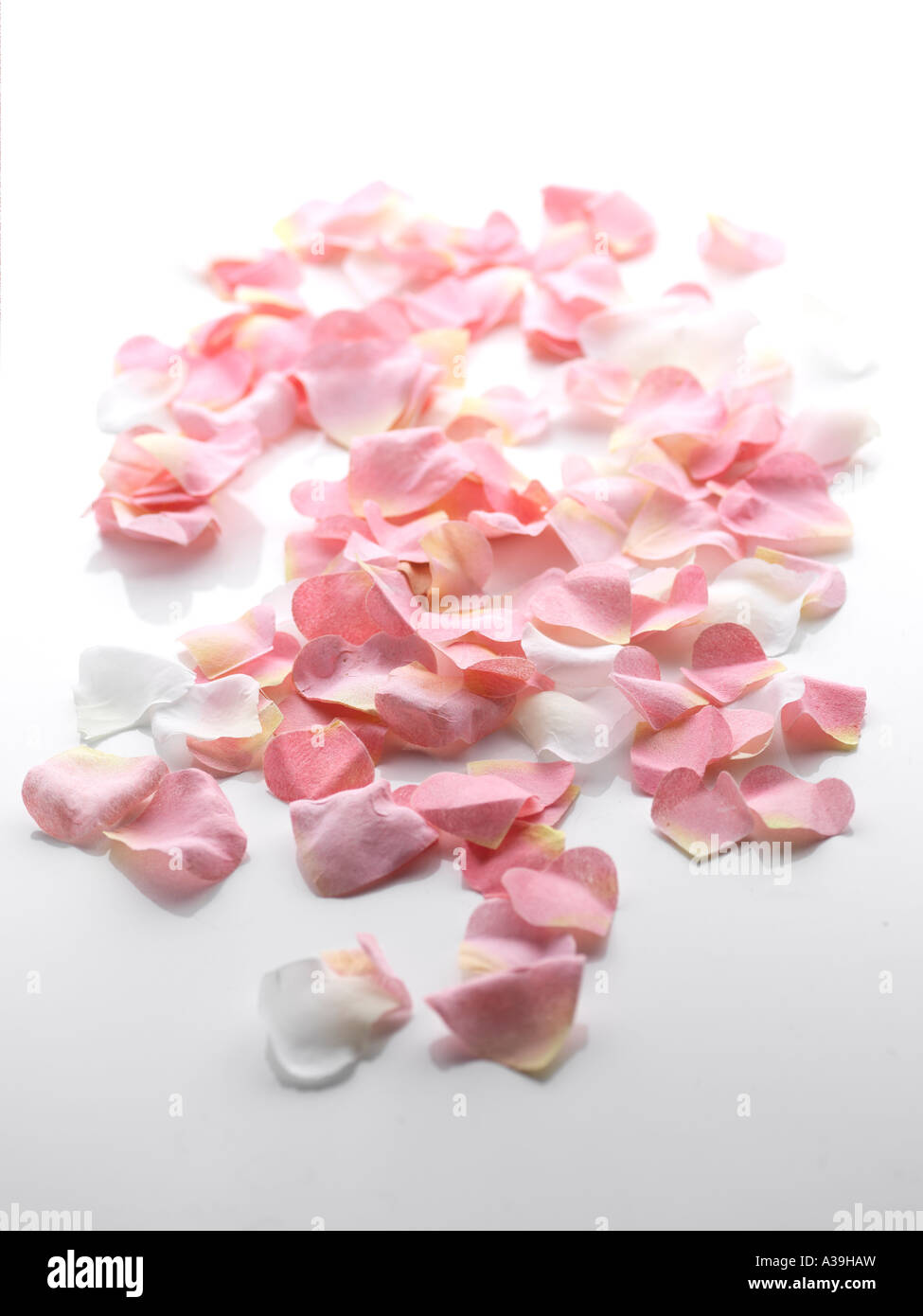 Soft pink light petals hi-res stock photography and images - Alamy