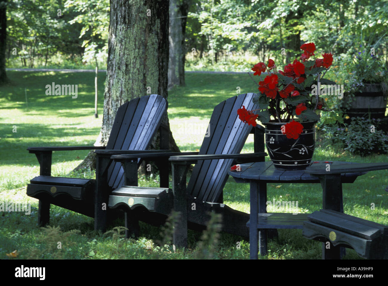 Outdoor chairs and table with red pot plant Stock Photo - Alamy