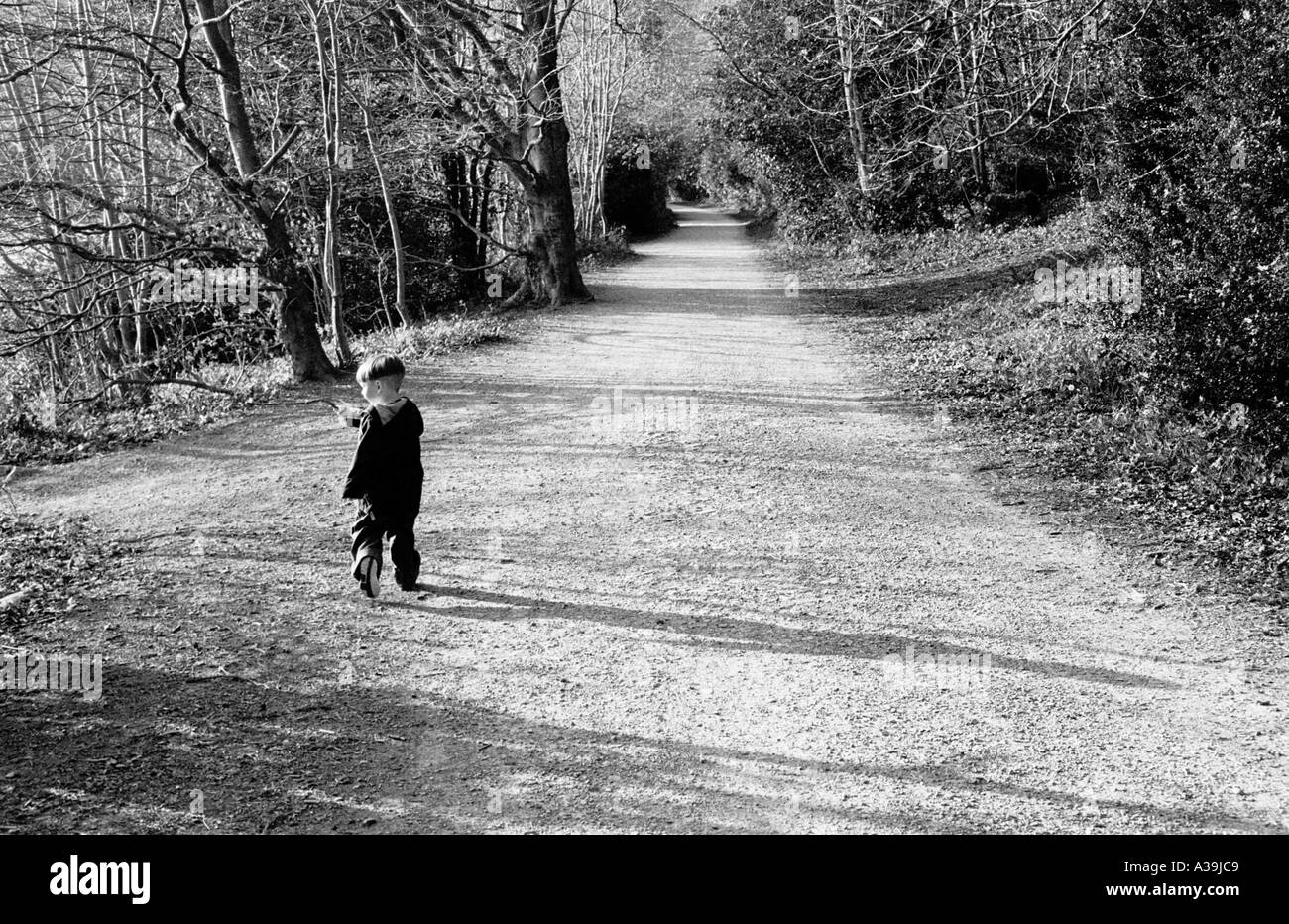 Young child walks down the long road ahead Castlewellan Forest Park County Down Northern Ireland Stock Photo
