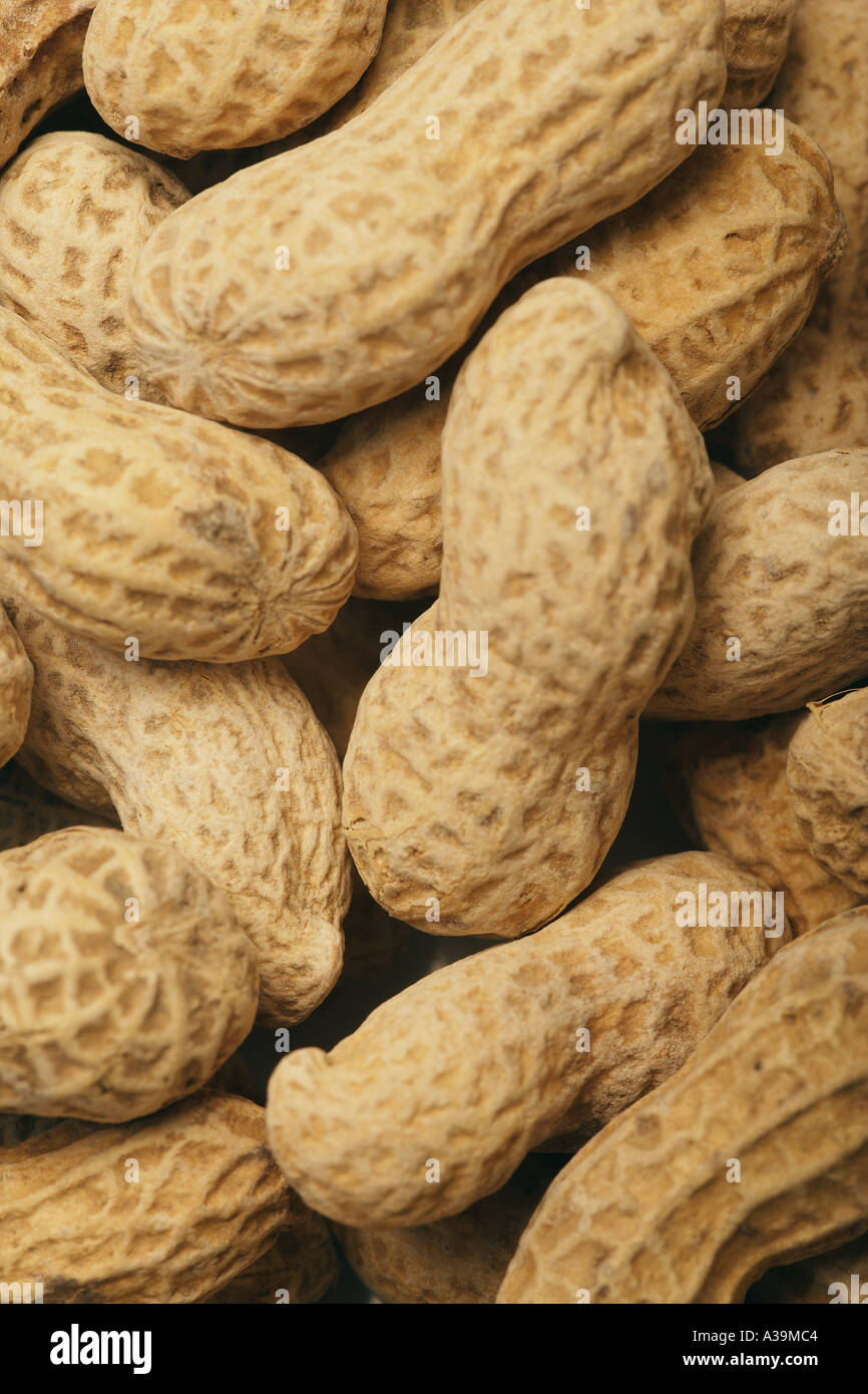 Peanuts in their shells Stock Photo Alamy