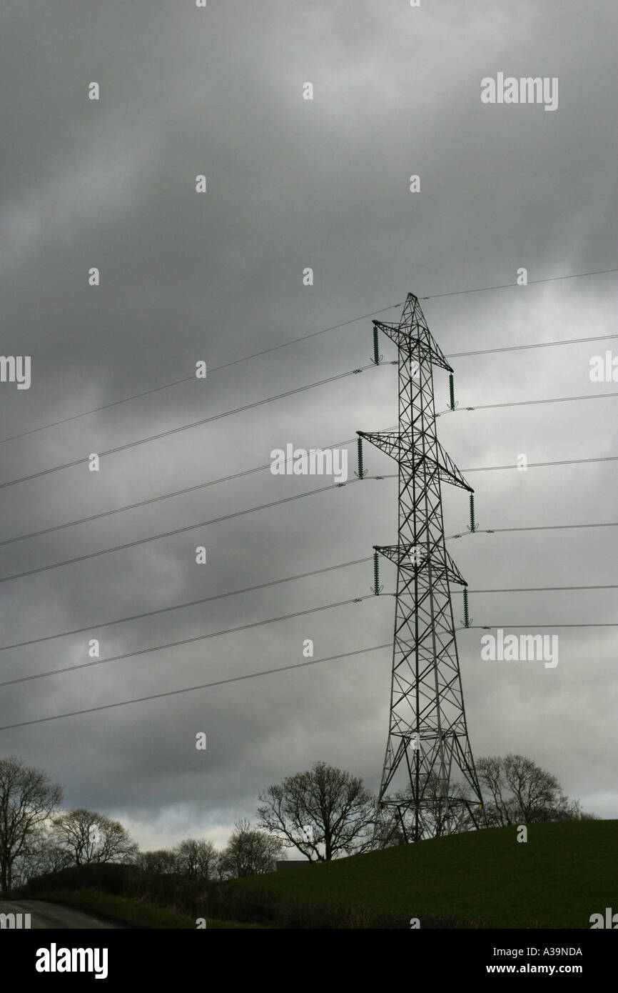 Northern Ireland Electricity pylon on farmland near Templepatrick