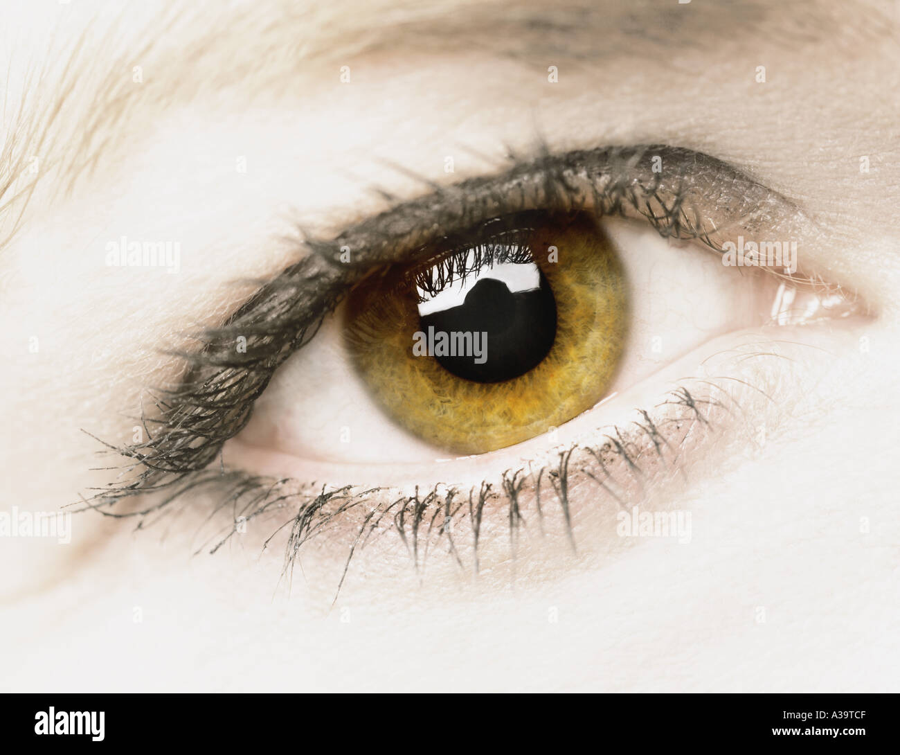 Female hazel eye close up hi-res stock photography and images - Alamy