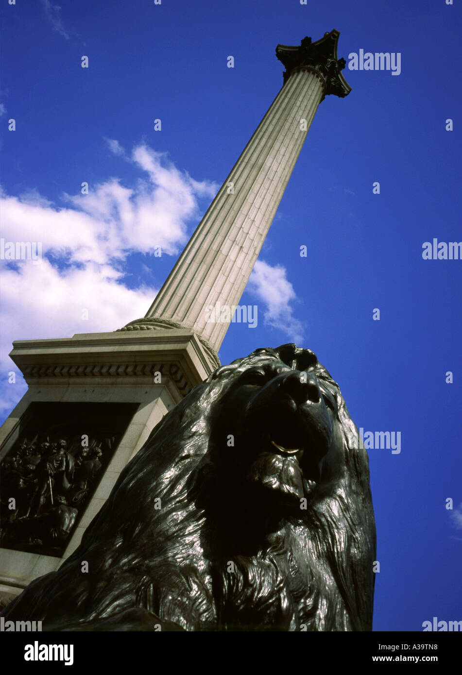 Nelson s Column With Lion In The Foreground Trafalgar Square London nelson-s-column-with-lion-in-the-foreground-trafalgar-square-london