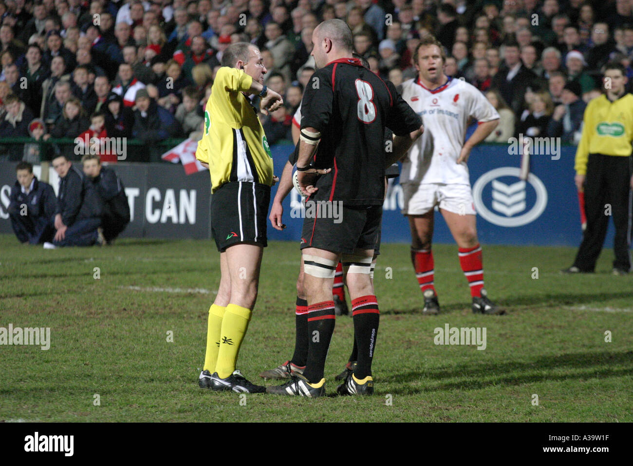 Rugby Union referee signals elbowing to competitor at Ulster v Edinburgh Celtic League game Ravenhill Northern Ireland Stock Photo
