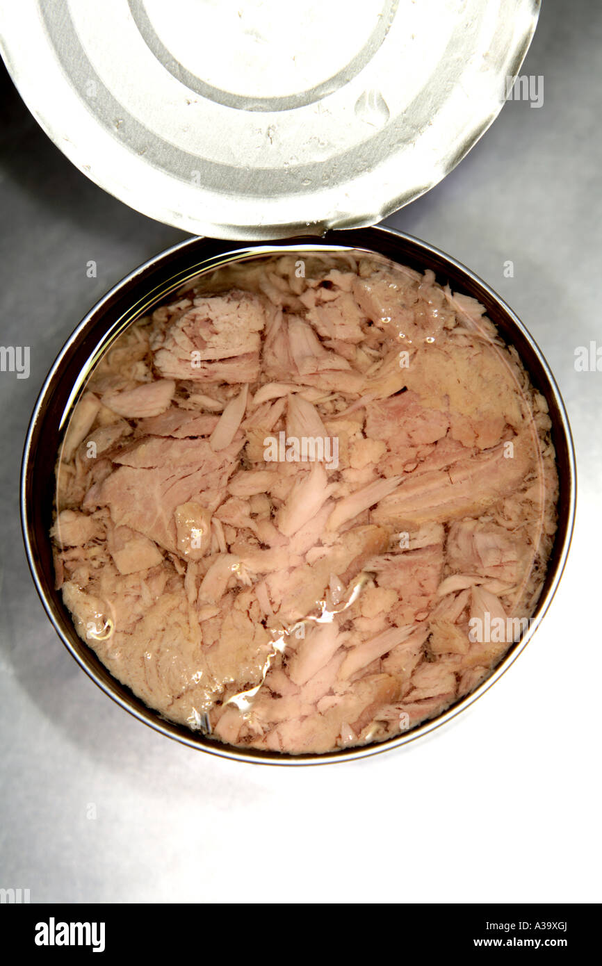 Tuna in a can Stock Photo Alamy