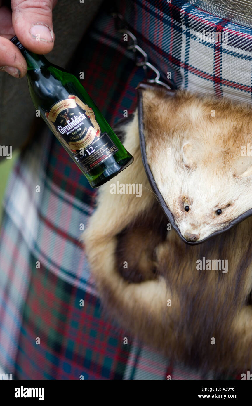 One of the many uses for a sporran This sporran is made from a road killed squashed ferret Stock Photo