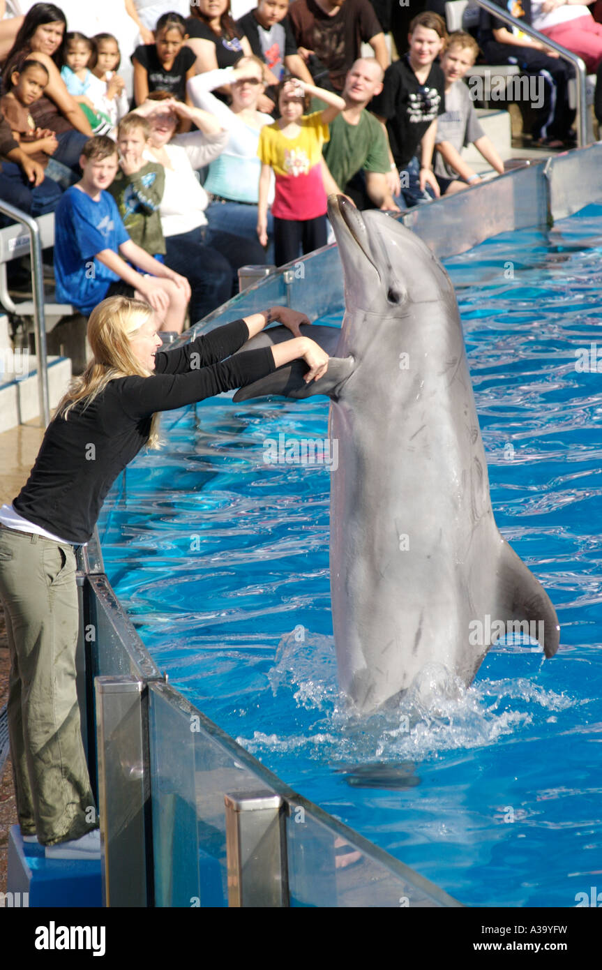 Dolphin show, Seaworld San Diego November 2006 Seaworld San ...