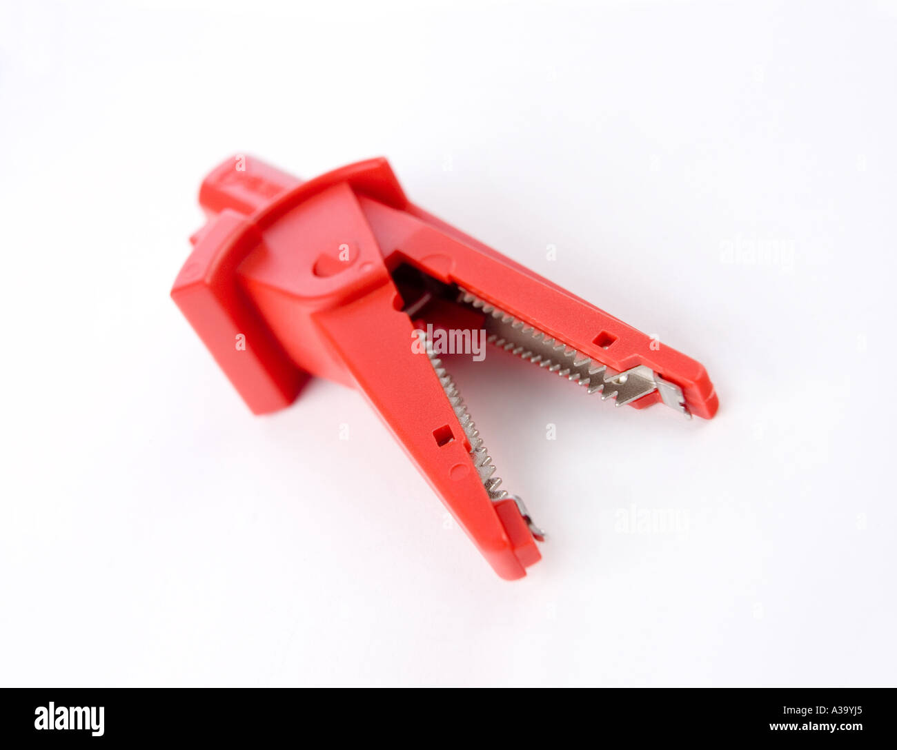 crocodile / alligator clip Stock Photo Alamy
