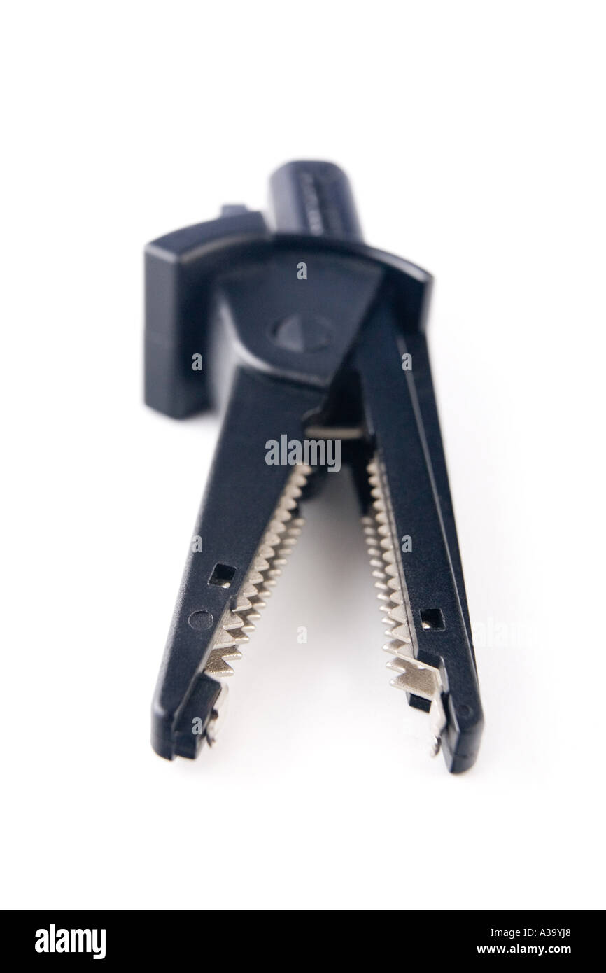 crocodile / alligator clip Stock Photo Alamy