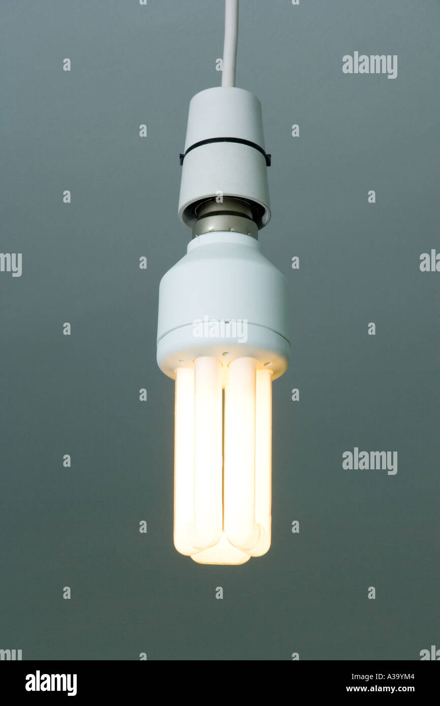 low wattage fluorescent light bulb Stock Photo Alamy
