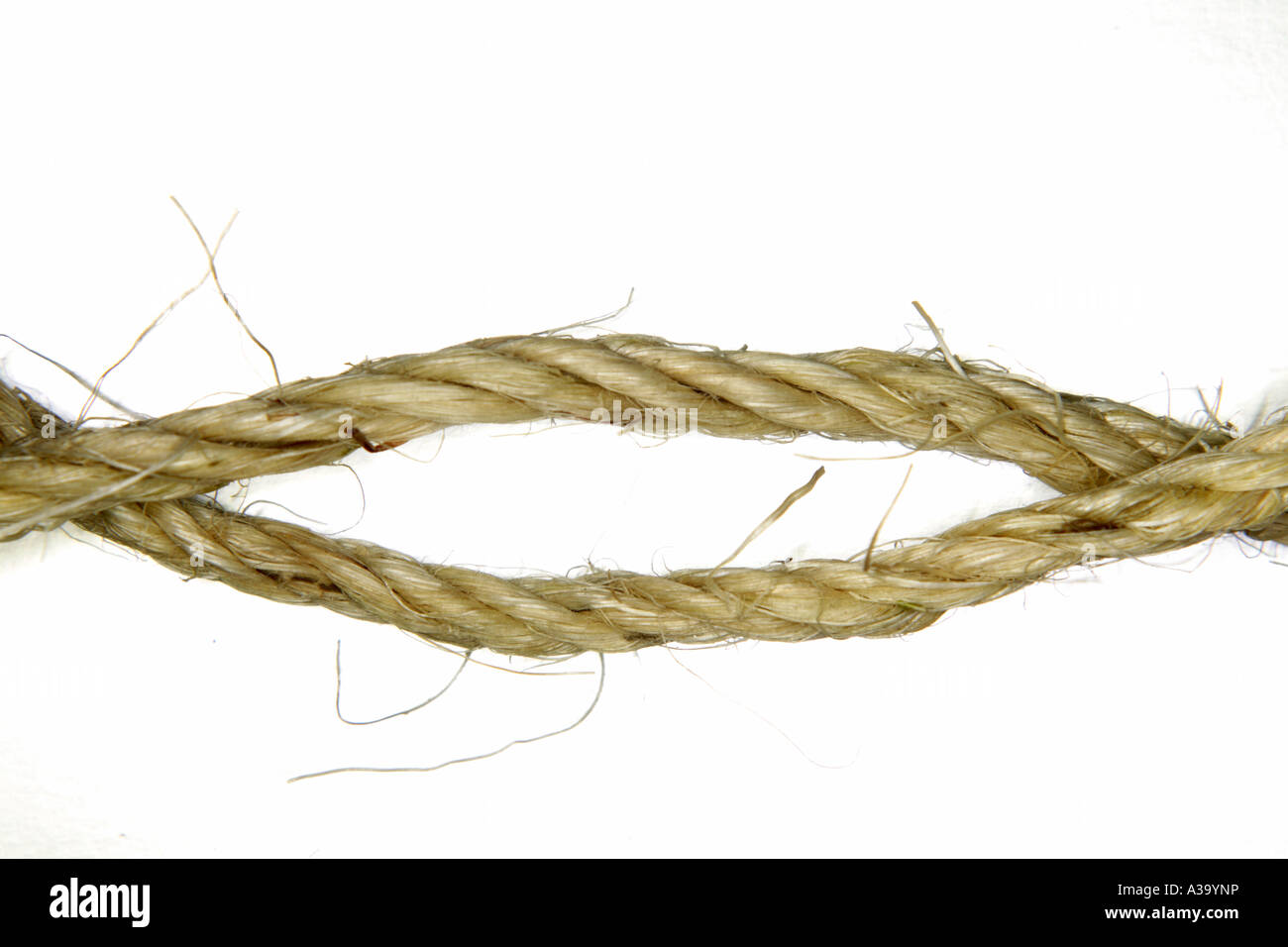 Ropes twisted together Stock Photo Alamy
