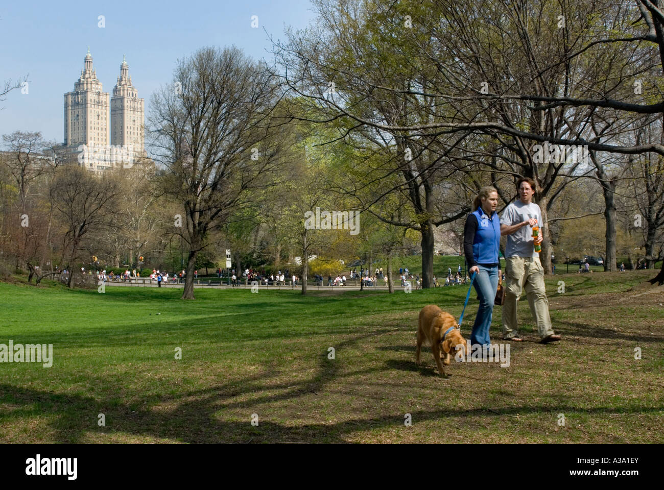 Couple Walking their Dog in Central Park with San Remo in the ...