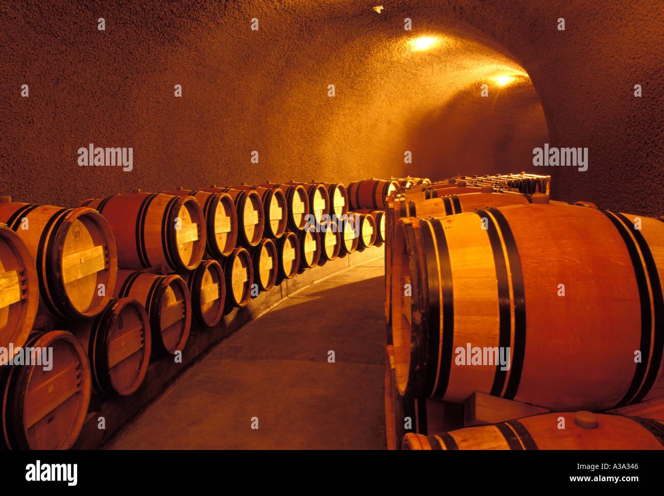 oak wine barrels at Napa Valley winery Stock Photo - Alamy