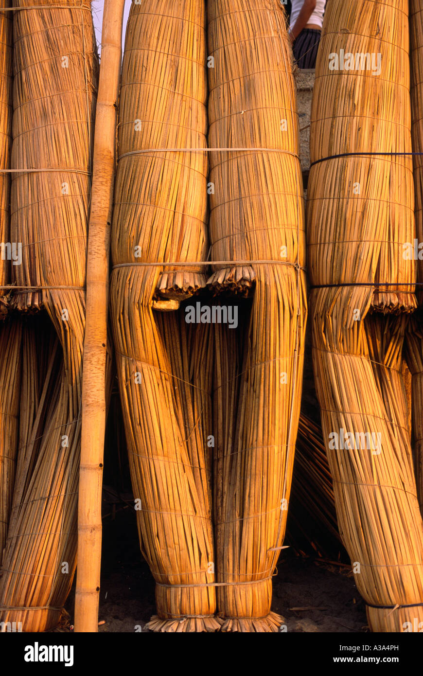Tatora Reed Totora reed boats - Huanchaco, La Libertad, PERU Stock Photo - Alamy