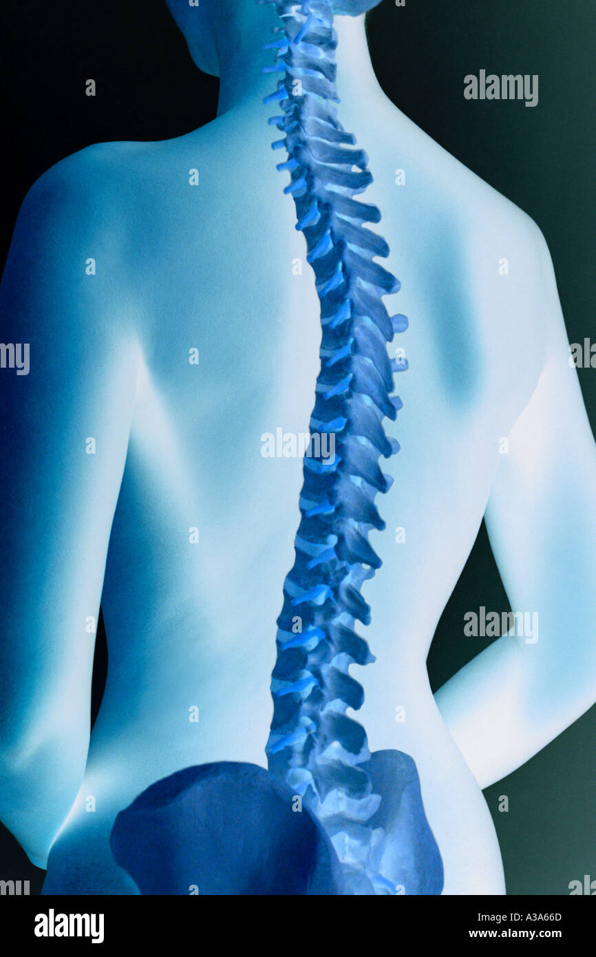 Spine column hi-res stock photography and images - Alamy