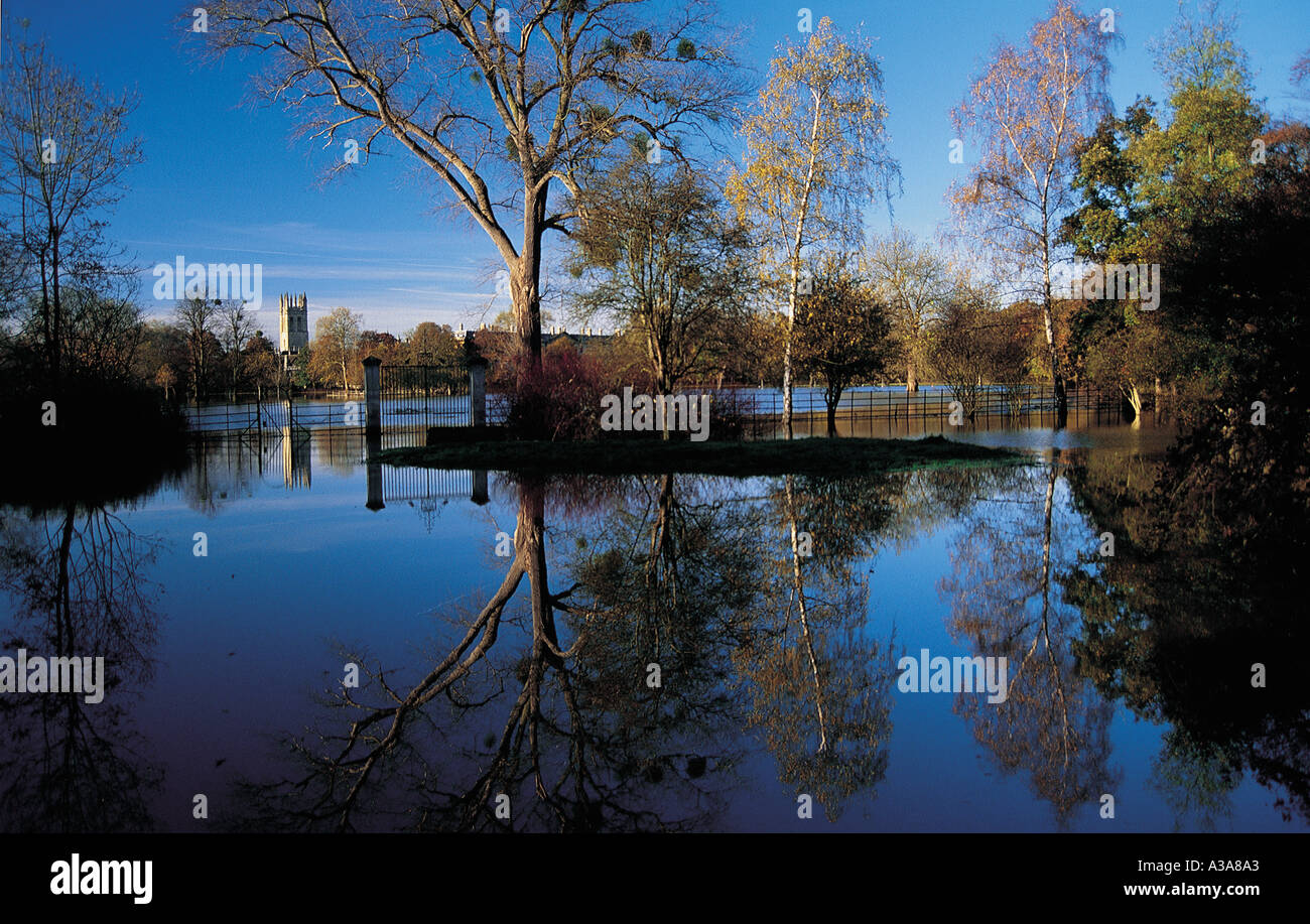 Addison’s walk magdalen college hi-res stock photography and images - Alamy