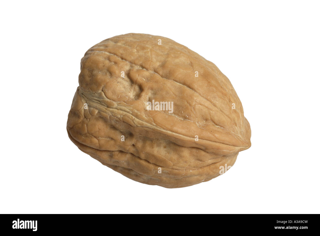 Crushed walnut shell hi-res stock photography and images - Alamy