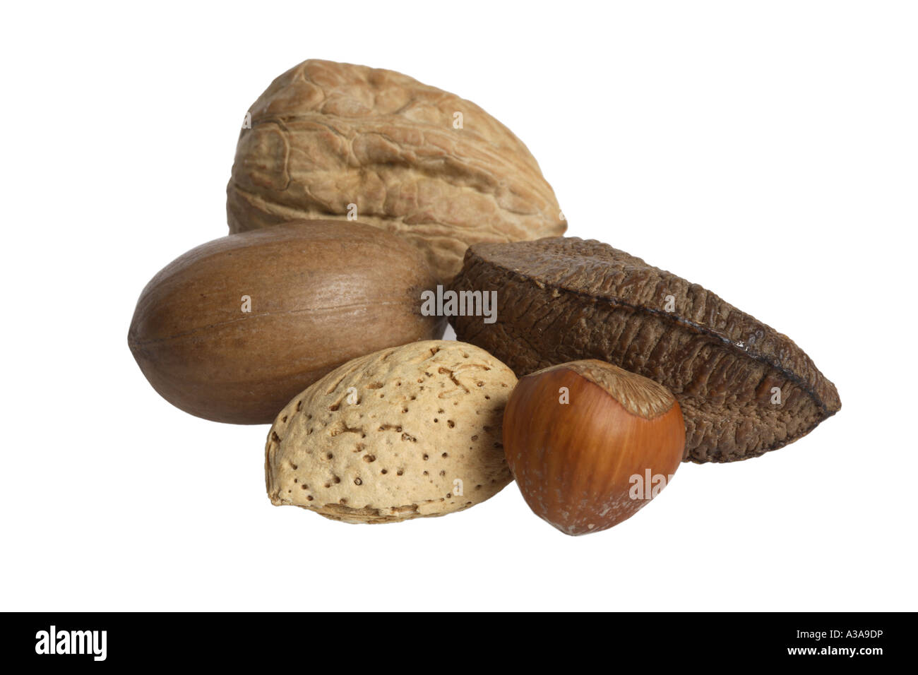 Walnuts, Hazelnuts, Almonds, Pecans and Brazil Nuts Stock Photo Alamy