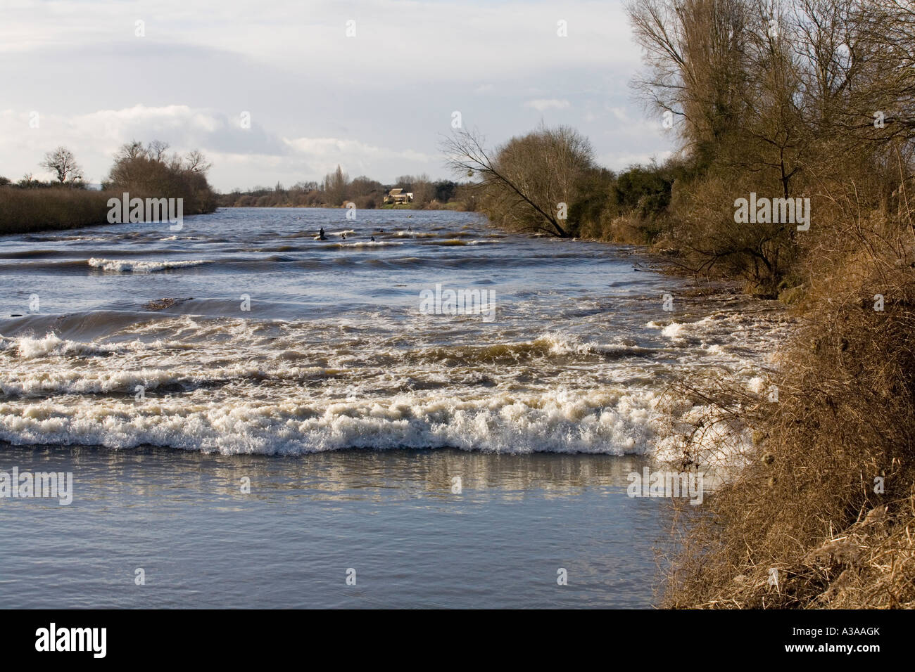 The Severn tidal Bore on the River Severn at Minsterworth