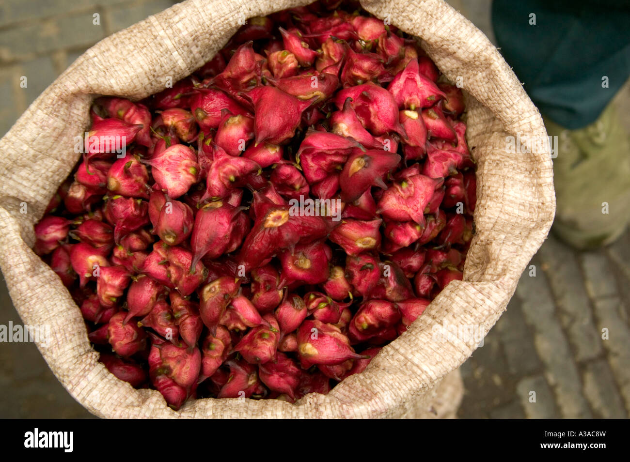 Harvested water chestnuts in sack, Xitang, China Stock Photo