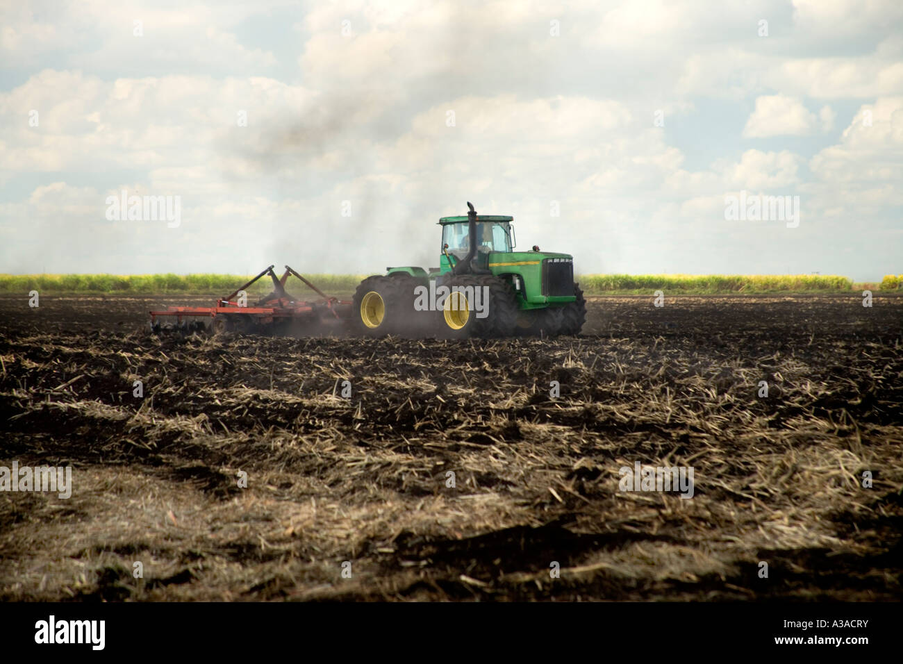 Sugar cane, John Deere tractor cultivating burnt harvested sugar cane field, Stock Photo