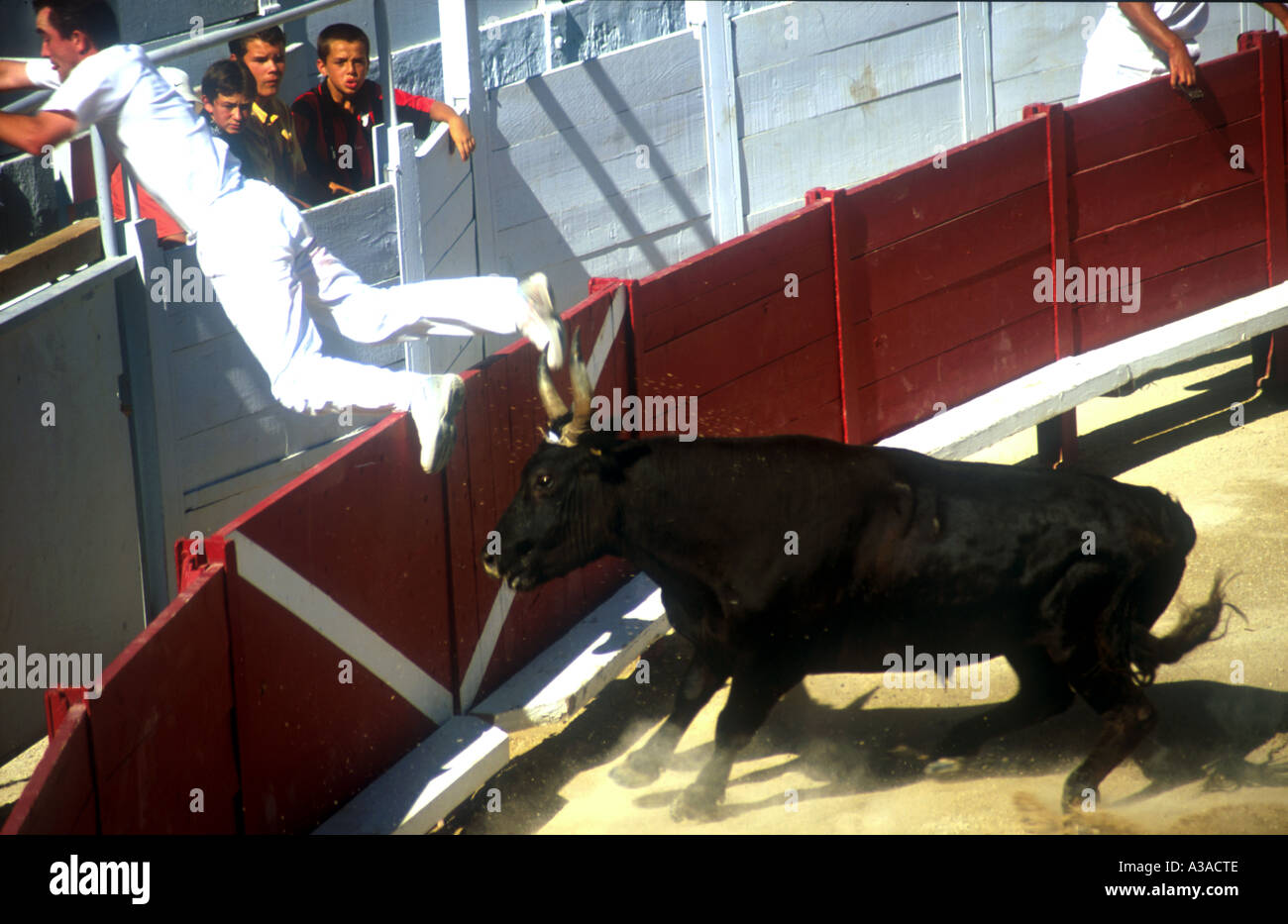 Bullfighing in the Romant amphiteathre at Arles France Stock Photo