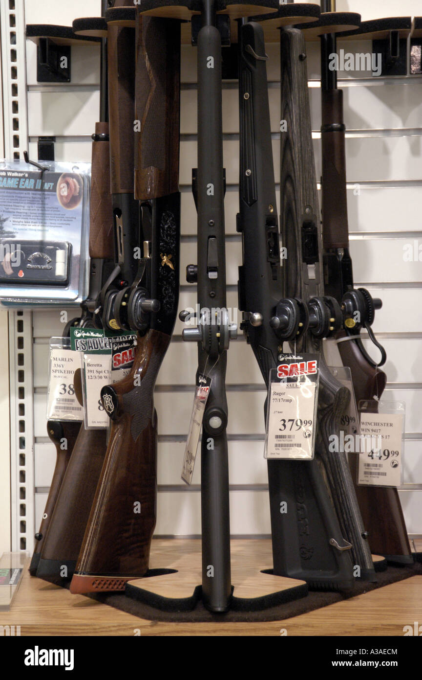 Gun Locks on Rifles Stock Photo