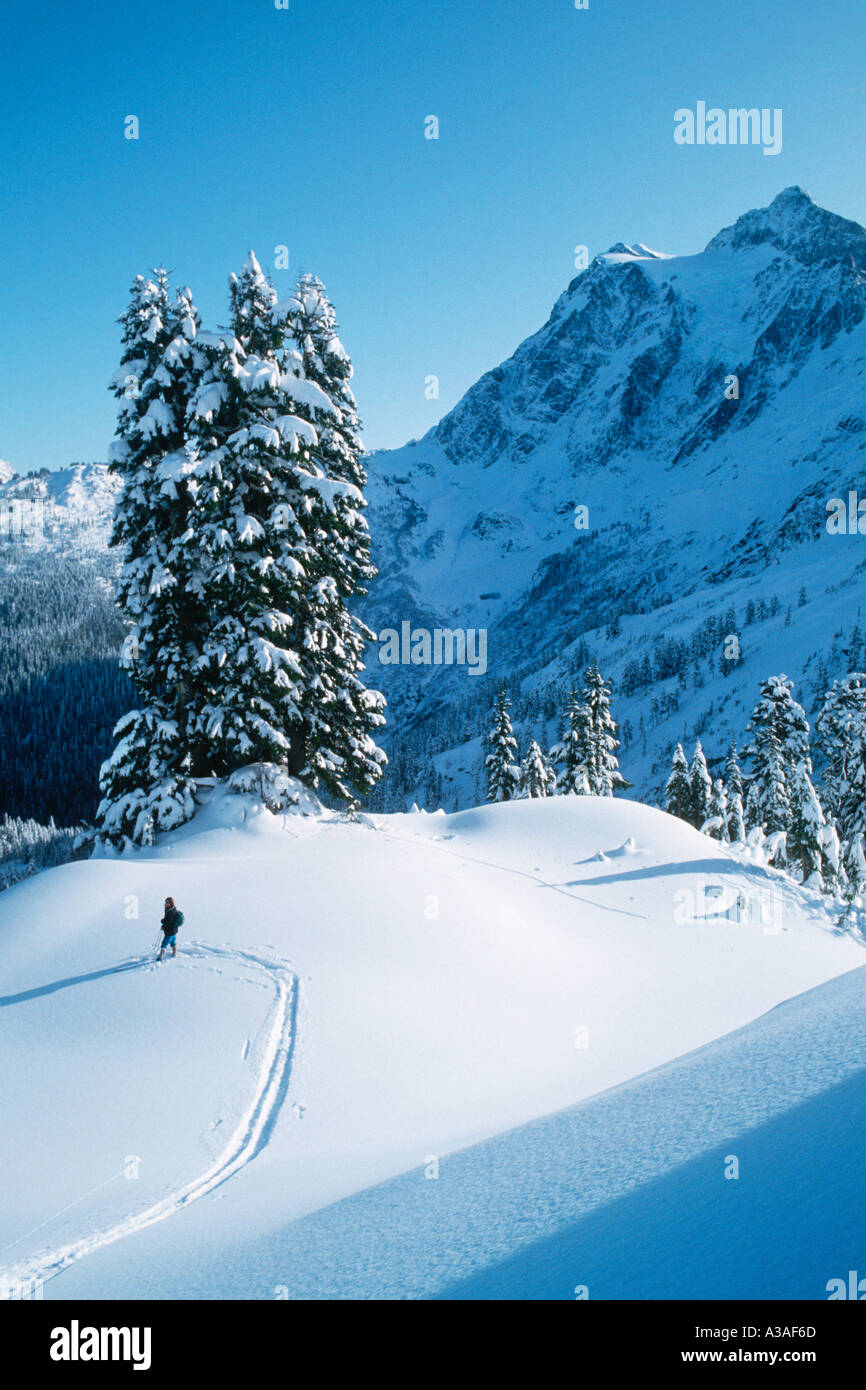 Mt Shuksan, WA, USA, Cross country skiing, Ski, Skier, Winter, North